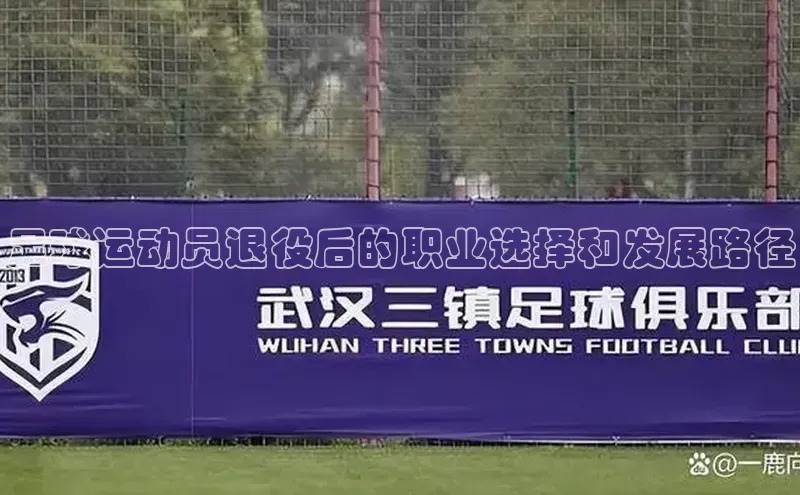 辉达娱乐注册和登录光魔科技足球运动员退役后的职业选择和发展路径