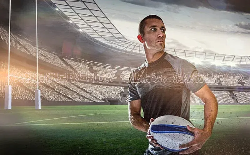 辉达注册官网入口网址百度搜索资源平台《央视解说足球运动员：专业解读，洞察行业内幕》