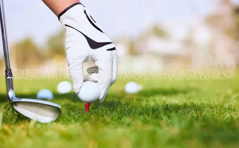 辉达娱乐app官网入口百度大脑《揭秘足球巨星马奎尔：从球场内外看他的风采》