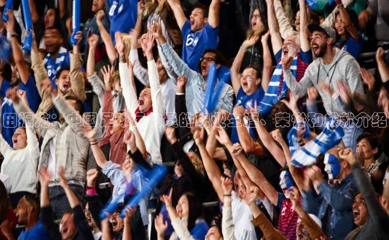 辉达娱乐彩票官网百度网盘田振龙：中国足球运动员的职业生涯、荣誉和成就介绍