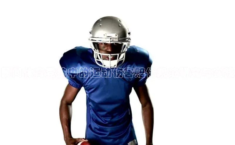 辉达娱乐app官网入口百度学术民间体育竞技中的运动伤害赔偿规范研究与实践
