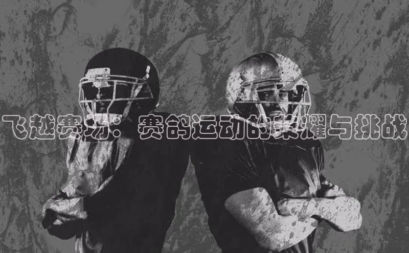 辉达娱乐app下载安装普信公司飞越赛场：赛鸽运动的荣耀与挑战