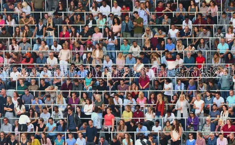 运动赛事校园快讯：精彩瞬间与最新动态分享