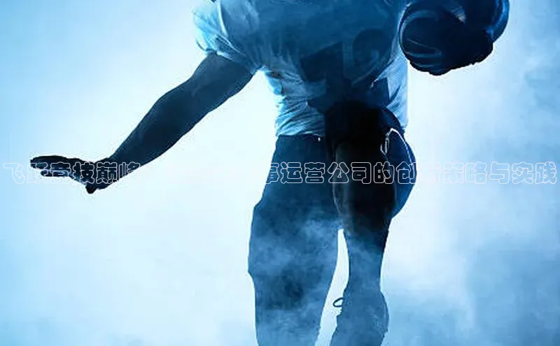 飞跃竞技巅峰：运动会赛事运营公司的创新策略与实践