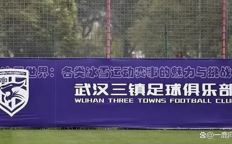 冰雪世界：各类冰雪运动赛事的魅力与挑战