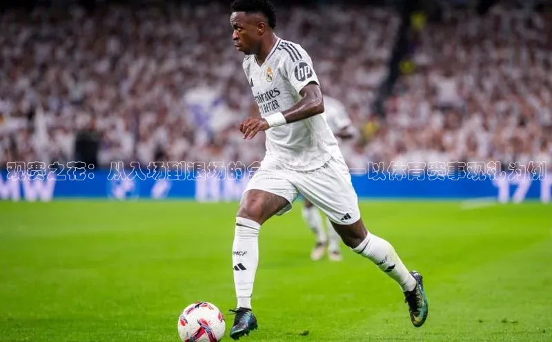 观赛之花：从入场到退场的全程体验——以体育赛事观礼为例