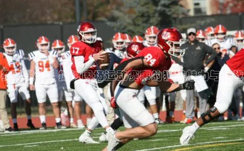 赛马竞技：探讨围场运动赛事的独特魅力与挑战