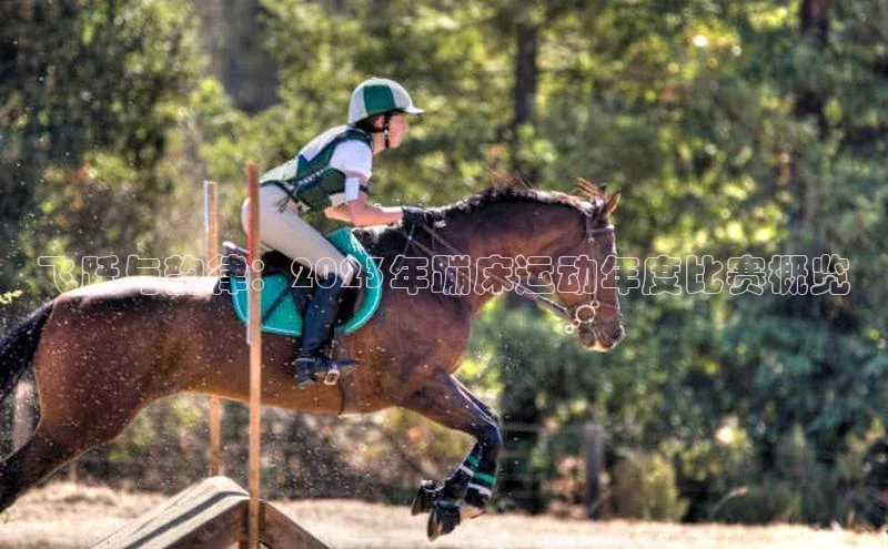 飞跃与韵律：2023年蹦床运动年度比赛概览