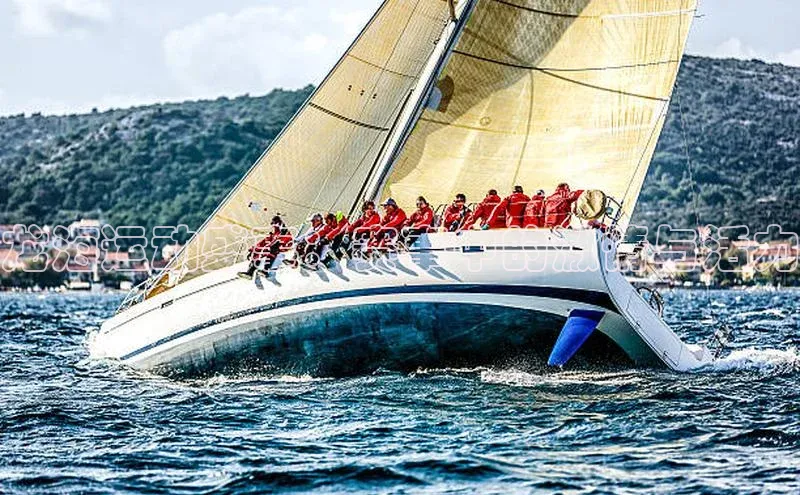 龙海运动盛事：赛事中的激情与活力