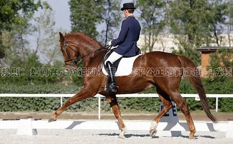 规则：如何在定向运动赛事中公平公正地判定选手成绩