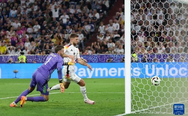 掌握规则与公平：成为一名专业运动赛事裁判的路径