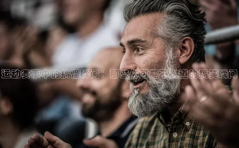 辉达娱乐app官网入口