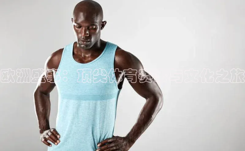 欧洲盛事：顶尖体育赛事与文化之旅