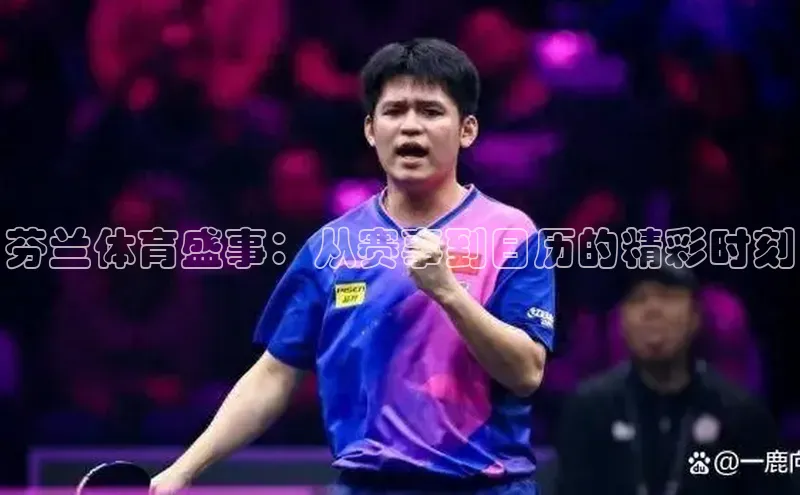 芬兰体育盛事：从赛事到日历的精彩时刻